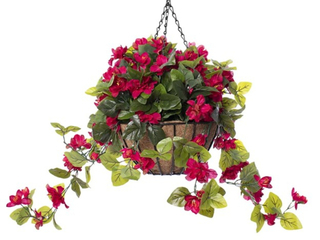 Hanging Basket Pink Azalea  Product Image